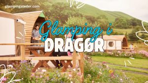Bedste glamping i Dragør