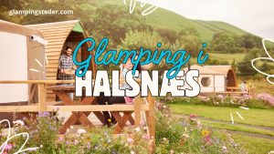 Bedste glamping i Halsnæs