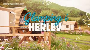 Bedste glamping i Herlev